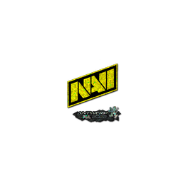 free cs2 skins Sticker | Natus Vincere (Glitter) | Antwerp 2022