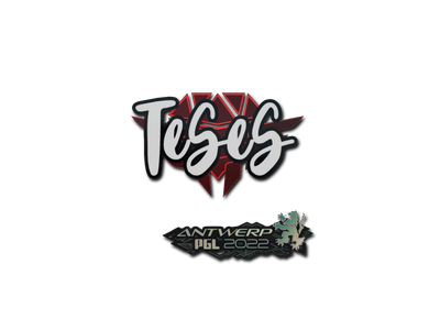 Pegatina | TeSeS | Amberes 2022
