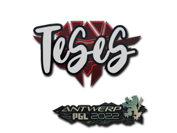 Sticker | TeSeS | Antwerp 2022