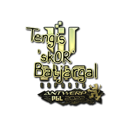 sk0R (Gold) | Antwerp 2022