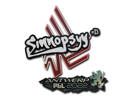 sinnopsyy | Antwerp 2022