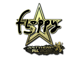 Sticker | floppy (Gold) | Antwerp 2022