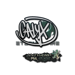 Calyx | Antwerp 2022