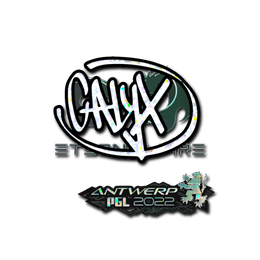 Calyx (Glitter) | Antwerp 2022