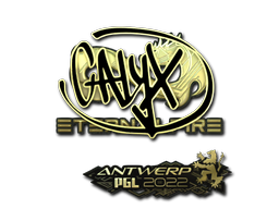 Calyx (золотая) | Антверпен 2022
