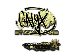 Default of skin Sticker | Calyx (Gold) | Antwerp 2022