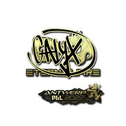 Calyx (Gold) | Antwerp 2022