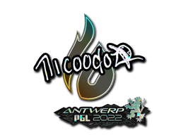 nicoodoz (блёстки) | Антверпен 2022
