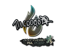 nicoodoz | Antwerp 2022