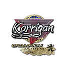 Sticker | karrigan (Champion) | Antwerp 2022