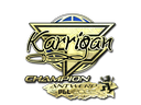 Sticker | karrigan (Gold, Champion) | Antwerp 2022