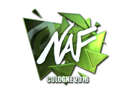 NAF (металлическая) | Кёльн 2016