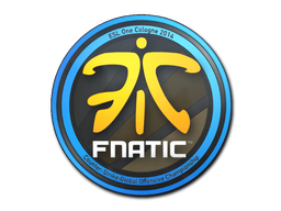 印花 | Fnatic | 2014年科隆锦标赛