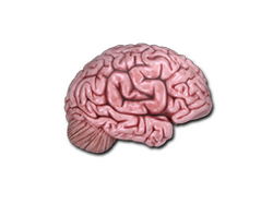 Sticker | CS On The Mind