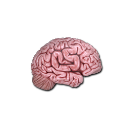 CS On The Mind