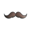 Sticker | Mustachio (Foil)