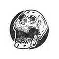 Sealed Graffiti | Rising Skull