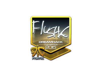 Наліпка | flusha (лискуча) | Клуж-Напока 2015