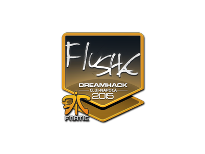Sticker | flusha | Cluj-Napoca 2015