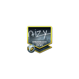 free cs2 skins Sticker | aizy (Foil) | Cluj-Napoca 2015