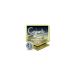 free csgo skin Sticker | cajunb (Foil) | Cluj-Napoca 2015