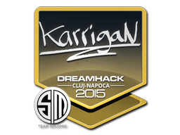 karrigan | Клуж-Напока 2015