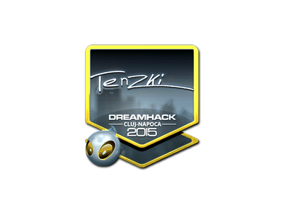 Autocolante | tenzki (Foil) | Cluj-Napoca 2015