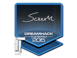 Наклейка | ScreaM | Клуж-Напока 2015