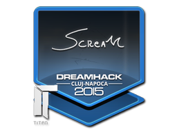 Naklejka | ScreaM | Kluż-Napoka 2015