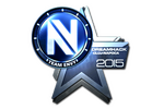 Sticker | Team EnVyUs (Foil) | Cluj-Napoca 2015