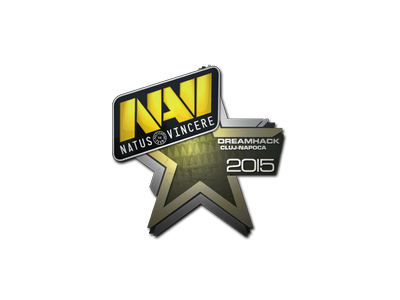 Pegatina | Natus Vincere | Cluj-Napoca 2015