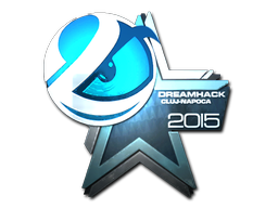 Luminosity Gaming (металлическая) | Клуж-Напока 2015