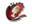 Bonehead