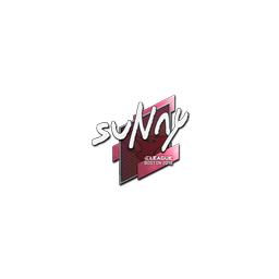 Sticker | suNny | Boston 2018