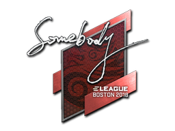 Sticker | somebody | Boston 2018