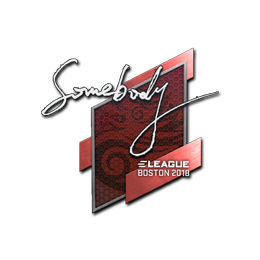 somebody