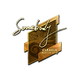 somebody (Gold) | Boston 2018