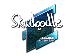 Pegatina | Skadoodle (reflectante) | Boston 2018