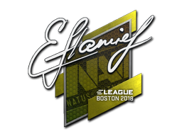 Sticker | flamie | Boston 2018