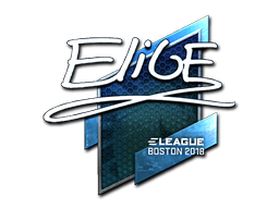 Naklejka | EliGE (foliowana) | Boston 2018