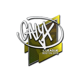 Calyx | Boston 2018