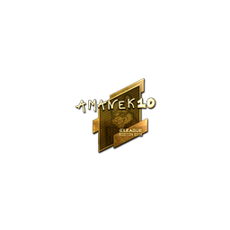 Sticker | AmaNEk (Gold) | Boston 2018