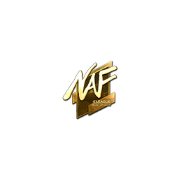 Sticker | NAF (Gold) | Boston 2018