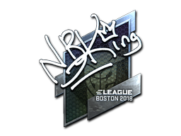 NBK- (Foil) | Boston 2018