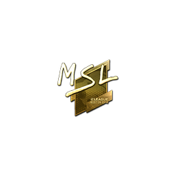 free csgo skin Sticker | MSL (Gold) | Boston 2018