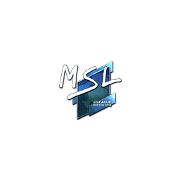 free csgo skin Sticker | MSL (Foil) | Boston 2018