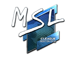 Sticker | MSL (Foil) | Boston 2018 image