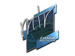 Sticker | mir | Boston 2018 image