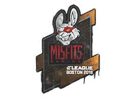 封装的涂鸦 | Misfits Gaming | 2018年波士顿锦标赛
