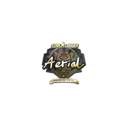 free cs2 skins Sticker | Aerial (Gold) | Berlin 2019